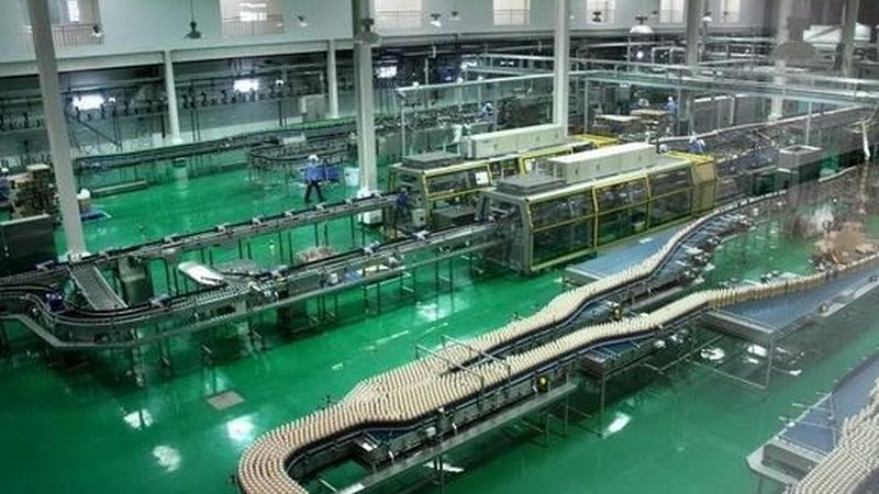 揭秘不锈钢面条机：十大品牌背后的技术秘密