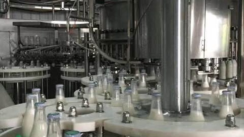 奶酪生产线工艺流程定制：打造高效、安全、合规的奶酪生产线